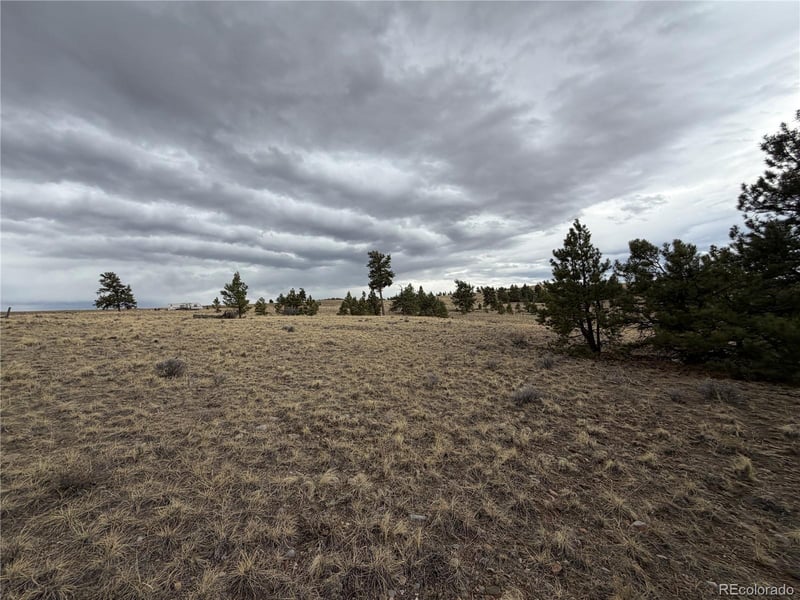 990 Coyotero Trl, Hartsel, CO 80449