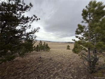 990 Coyotero Trl, Hartsel, CO 80449