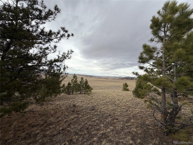 990 Coyotero Trl, Hartsel, CO 80449