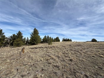 990 Coyotero Trl, Hartsel, CO 80449