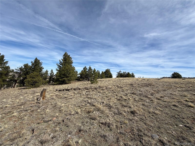 990 Coyotero Trl, Hartsel, CO 80449