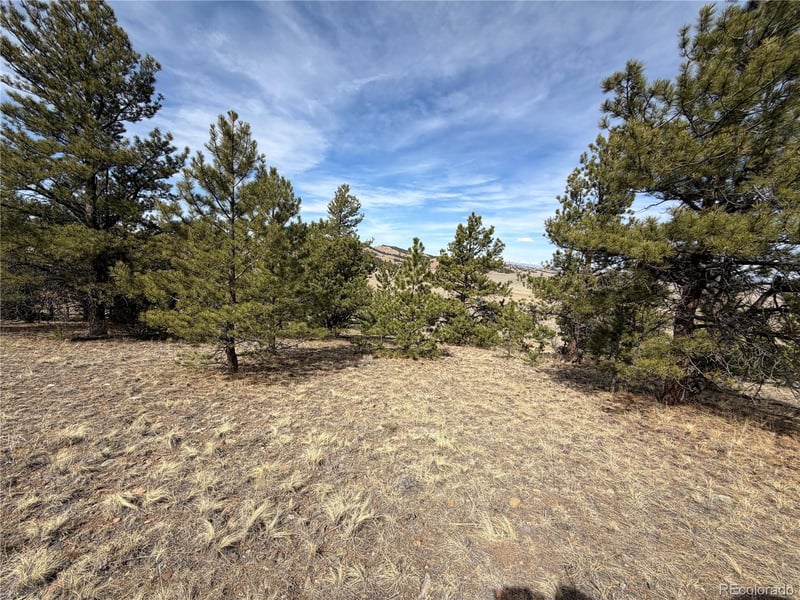 990 Coyotero Trl, Hartsel, CO 80449