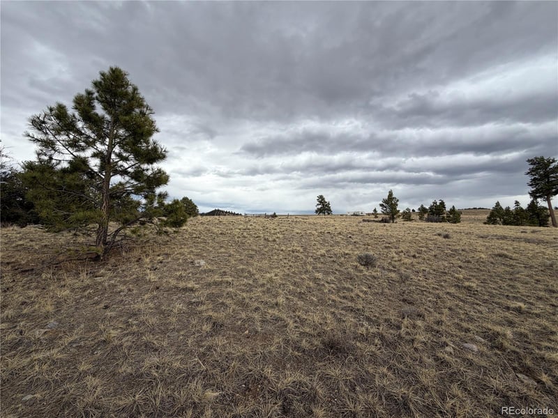 990 Coyotero Trl, Hartsel, CO 80449