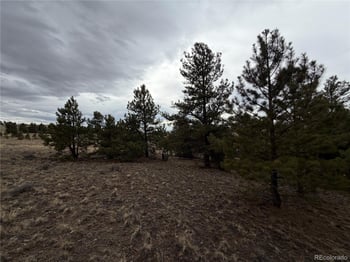 990 Coyotero Trl, Hartsel, CO 80449