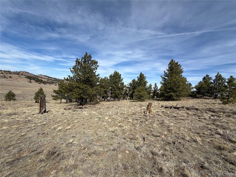 990 Coyotero Trl Lot 5776, 5777, Hartsel, CO 80449