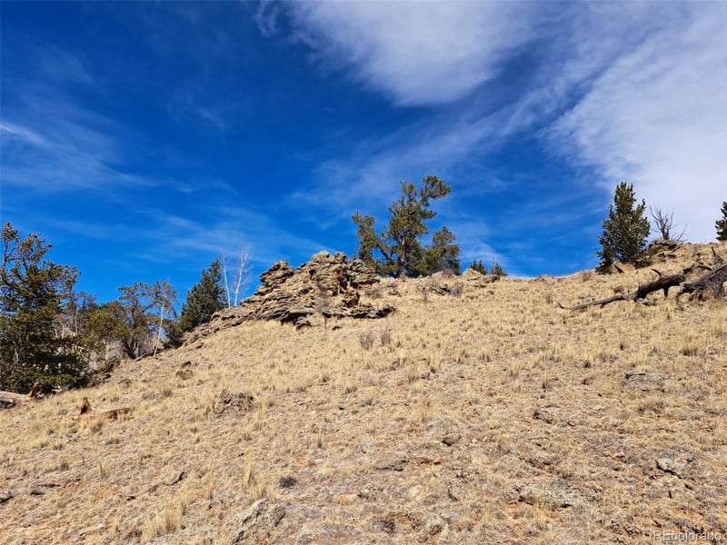 3646 Remington Rd, Como, CO 80432