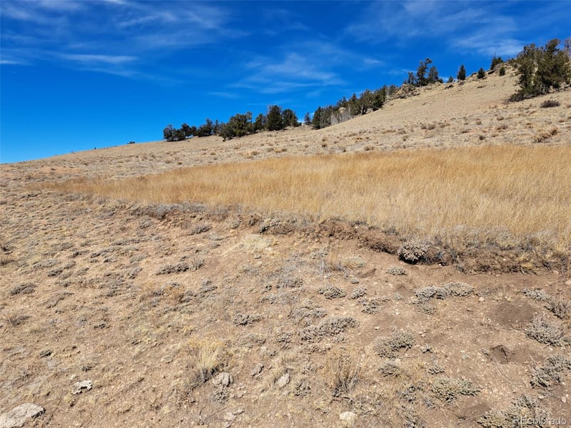 3646 Remington Rd, Como, CO 80432