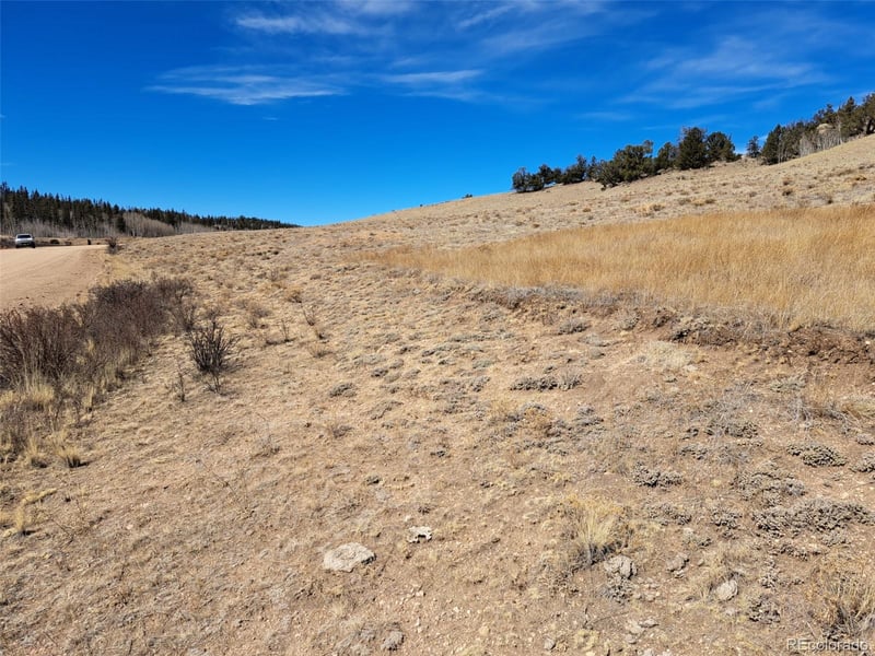 3646 Remington Rd, Como, CO 80432