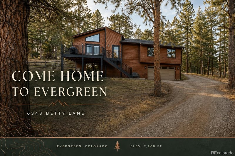 6343 Betty Ln, Evergreen, CO 80439