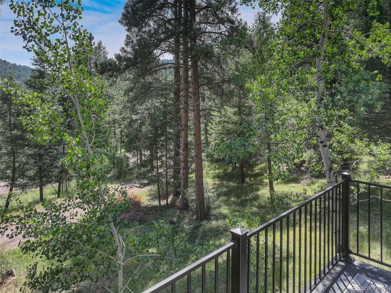 6343 Betty Ln, Evergreen, CO 80439