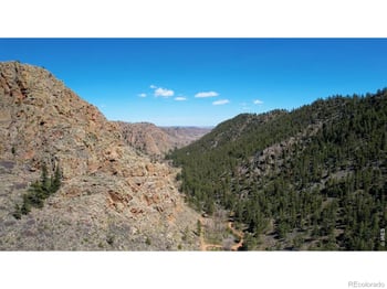 14 Calliope Ln, Livermore, CO 80536