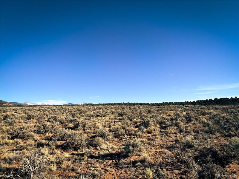 00 Mclaughlin Rd Lot 3490, Fort Garland, CO 81133