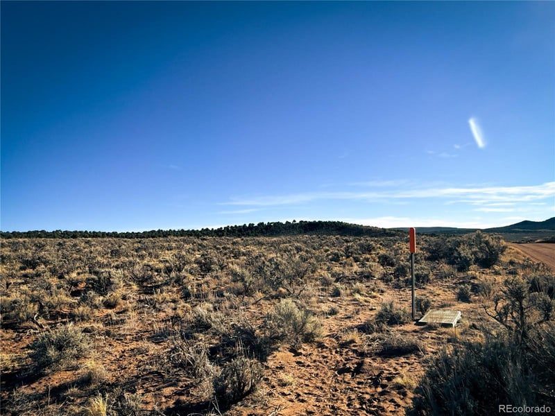 00 Mclaughlin Rd Lot 3490, Fort Garland, CO 81133