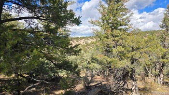 Lot 4024 Heritage Rd, Fort Garland, CO 81133