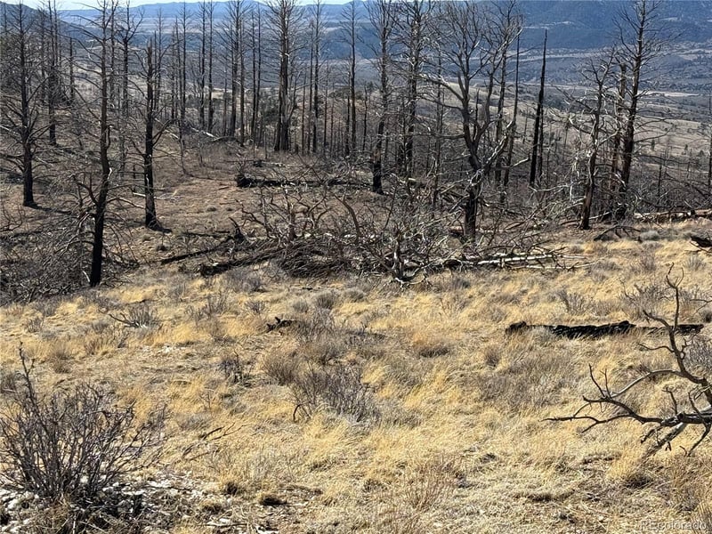 Lot 385 Soubry Pl, Fort Garland, CO 81133