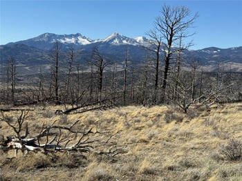 Lot 385 Soubry Pl, Fort Garland, CO 81133