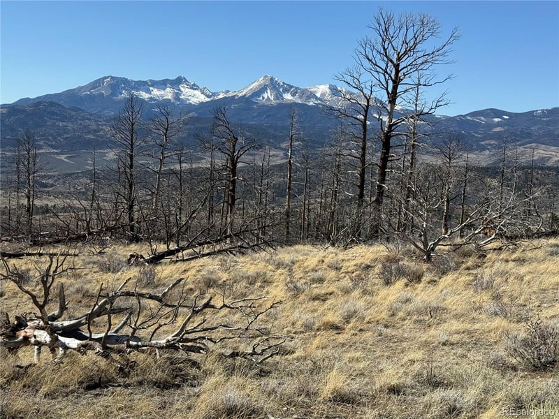 Lot 385 Soubry Pl, Fort Garland, CO 81133