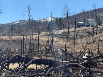 Lot 385 Soubry Pl, Fort Garland, CO 81133