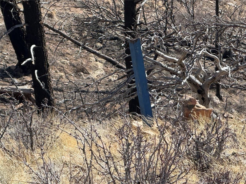 Lot 385 Soubry Pl, Fort Garland, CO 81133