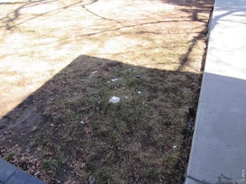 2551 Hoyt Ct, Lakewood, CO 80227