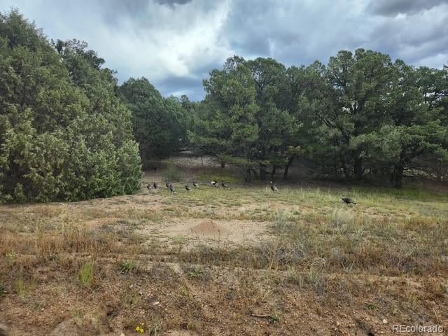 3152 Indian Wells Rd, Cotopaxi, CO 81223