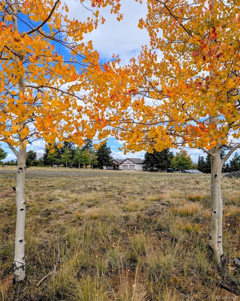 3561 Singletree Rd, Hartsel, CO 80449