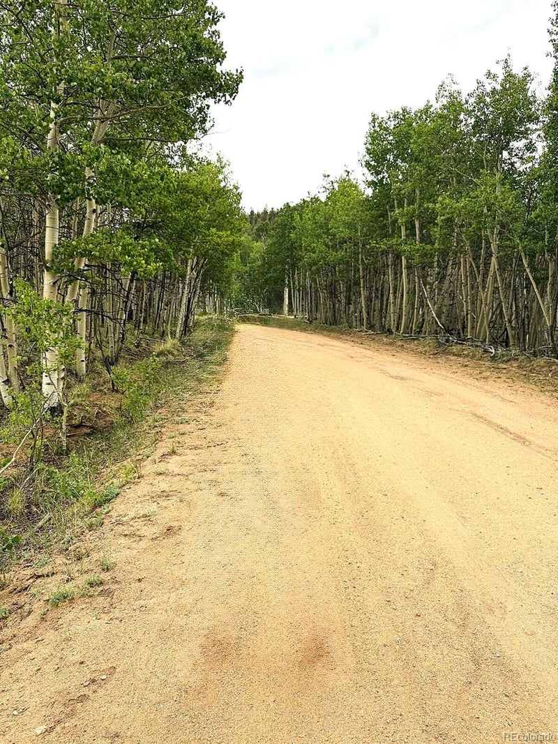 615 Caracara Ln, Jefferson, CO 80456