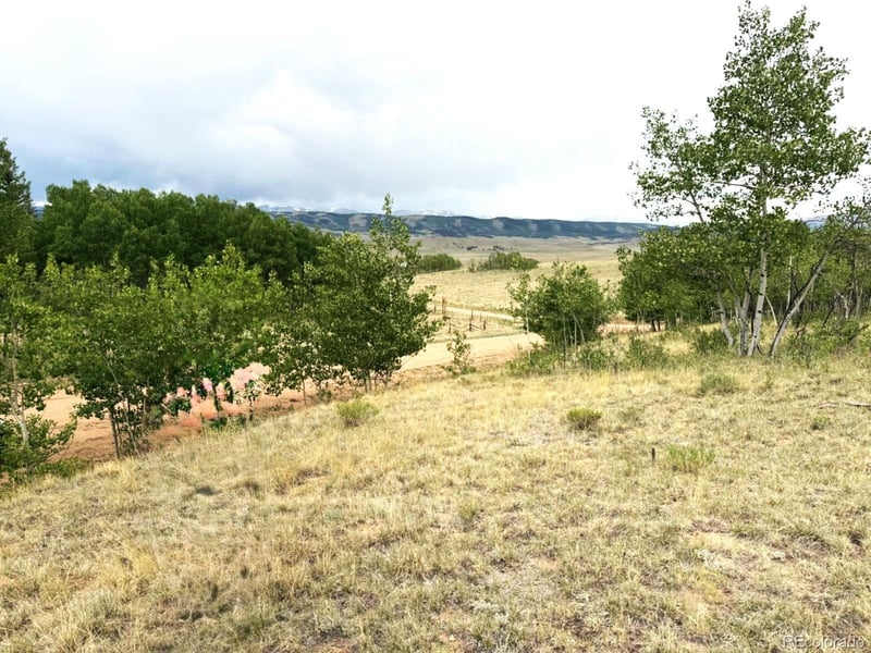 615 Caracara Ln, Jefferson, CO 80456