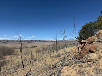 615 Caracara Ln, Jefferson, CO 80456