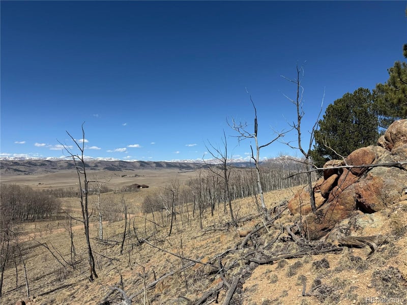 615 Caracara Ln, Jefferson, CO 80456