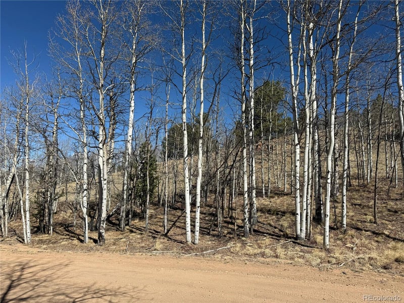 615 Caracara Ln, Jefferson, CO 80456