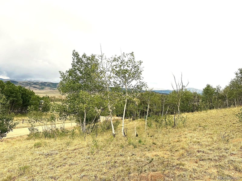 615 Caracara Ln, Jefferson, CO 80456