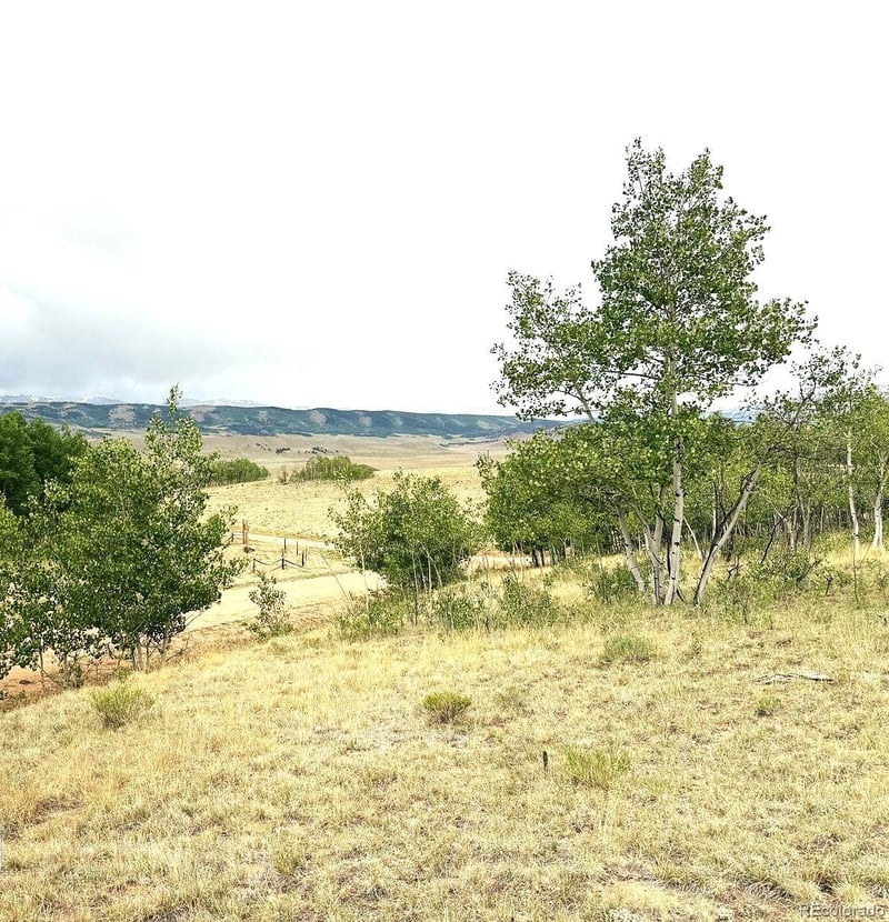 615 Caracara Ln, Jefferson, CO 80456