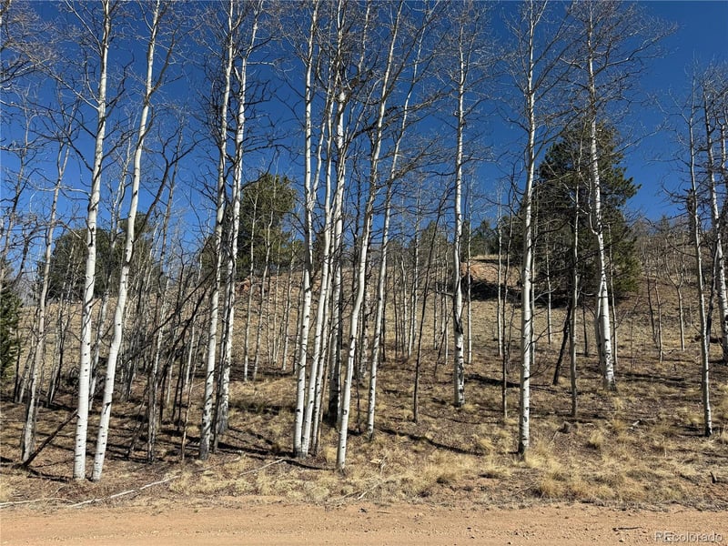 615 Caracara Ln, Jefferson, CO 80456