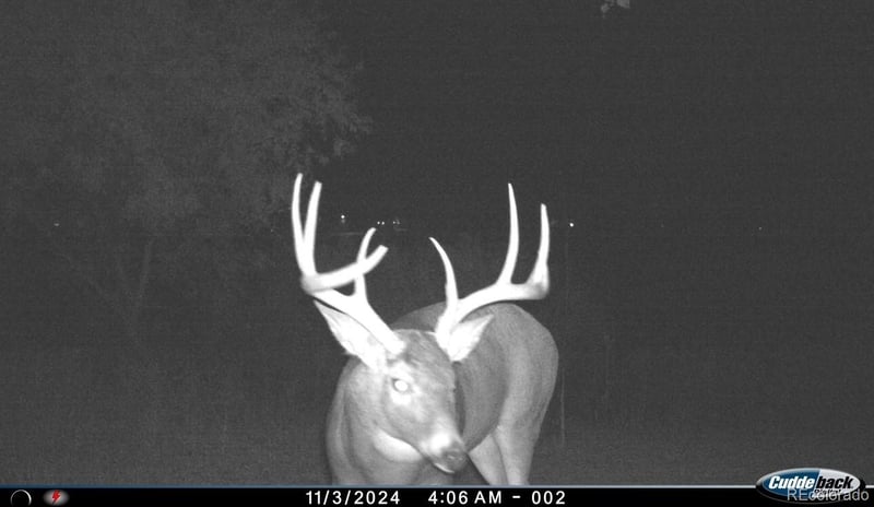 4791 County Road 24 3/4, Longmont, CO 80504