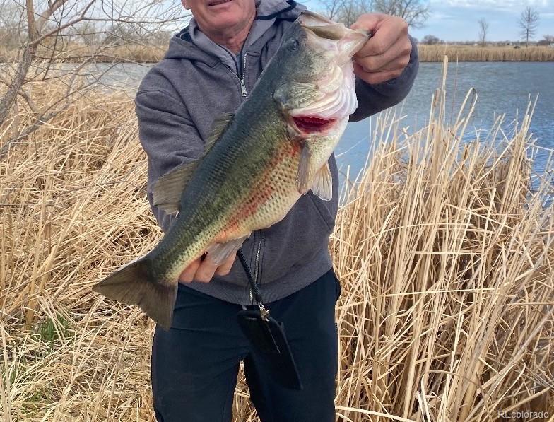 4791 County Road 24 3/4, Longmont, CO 80504