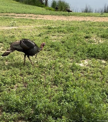 4791 County Road 24 3/4, Longmont, CO 80504