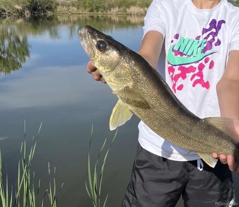 4791 County Road 24 3/4, Longmont, CO 80504