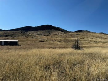 Lot 50 Copper Gultch Rd, Cotopaxi, CO 81223