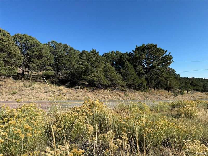 0 Copper Gultch, Cotopaxi, CO 81223