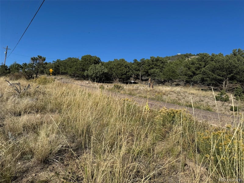 0 Copper Gultch, Cotopaxi, CO 81223