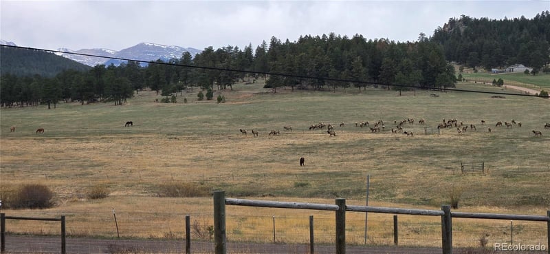 5981 Bluebell Ln, Evergreen, CO 80439