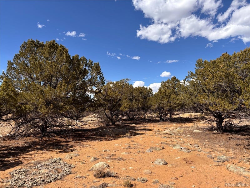 County Road 373a, Buena Vista, CO 81211