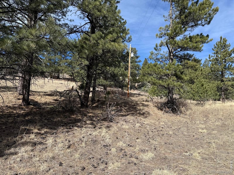 65 Haystack Ct, Livermore, CO 80536