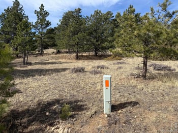 65 Haystack Ct, Livermore, CO 80536