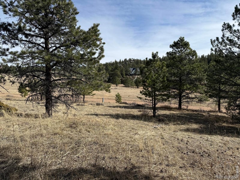 65 Haystack Ct, Livermore, CO 80536