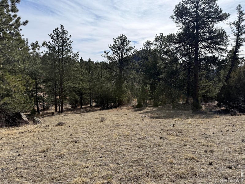 65 Haystack Ct, Livermore, CO 80536