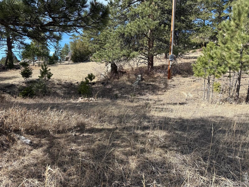 65 Haystack Ct, Livermore, CO 80536