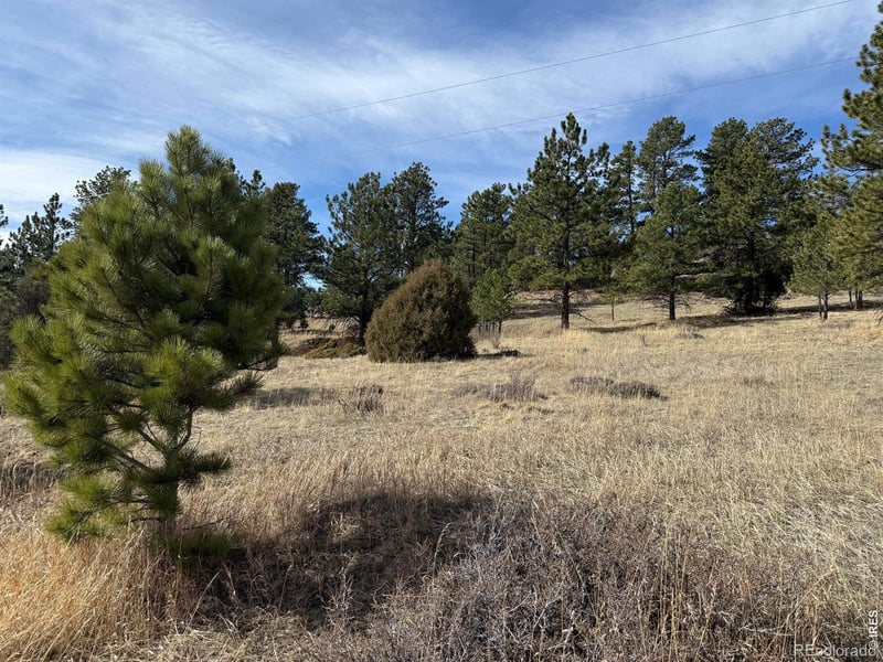 65 Haystack Ct, Livermore, CO 80536