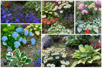 11754 85th Ave, Arvada, CO 80005